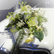 vehiculo decorado